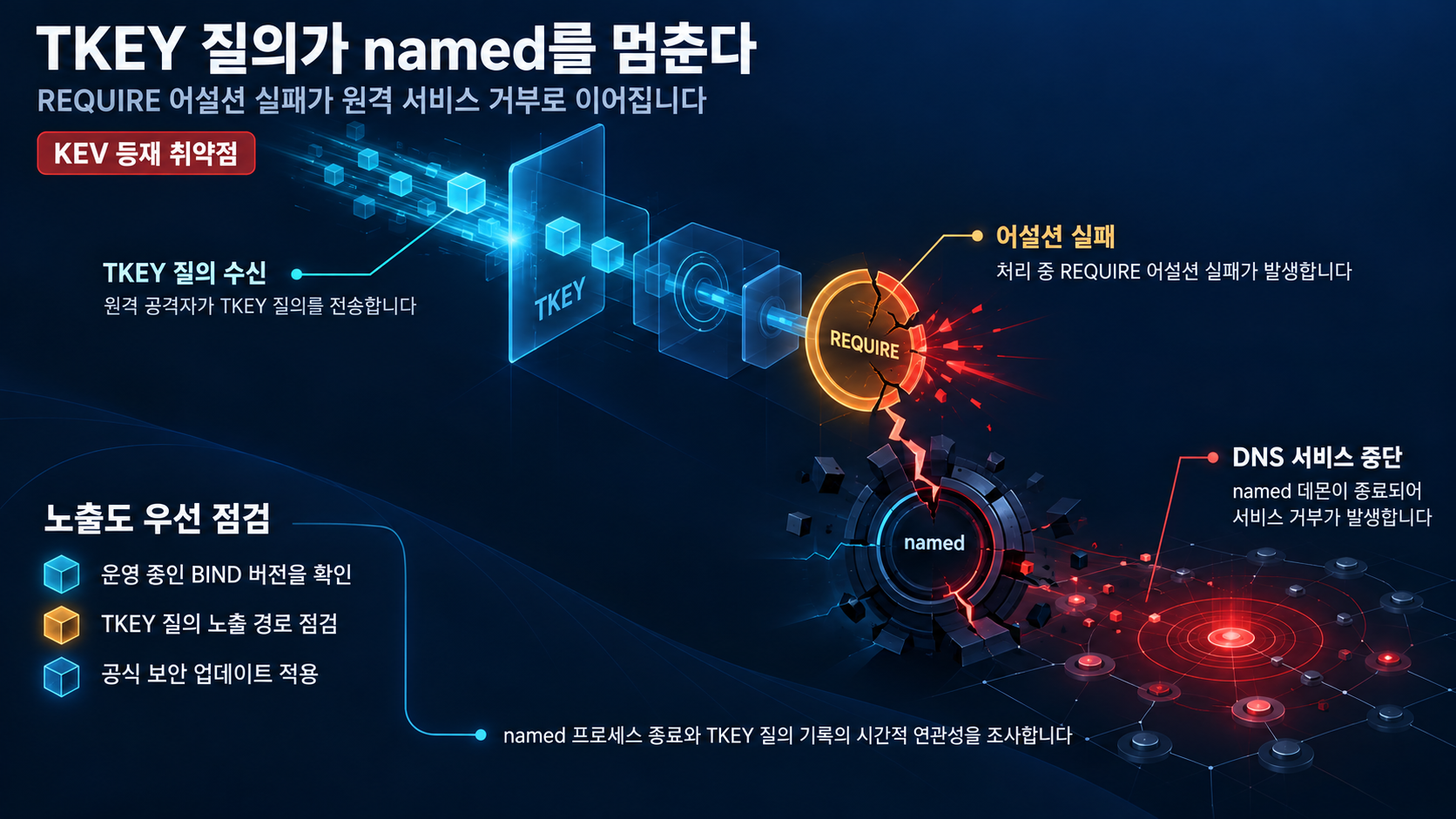 개요 인포그래픽